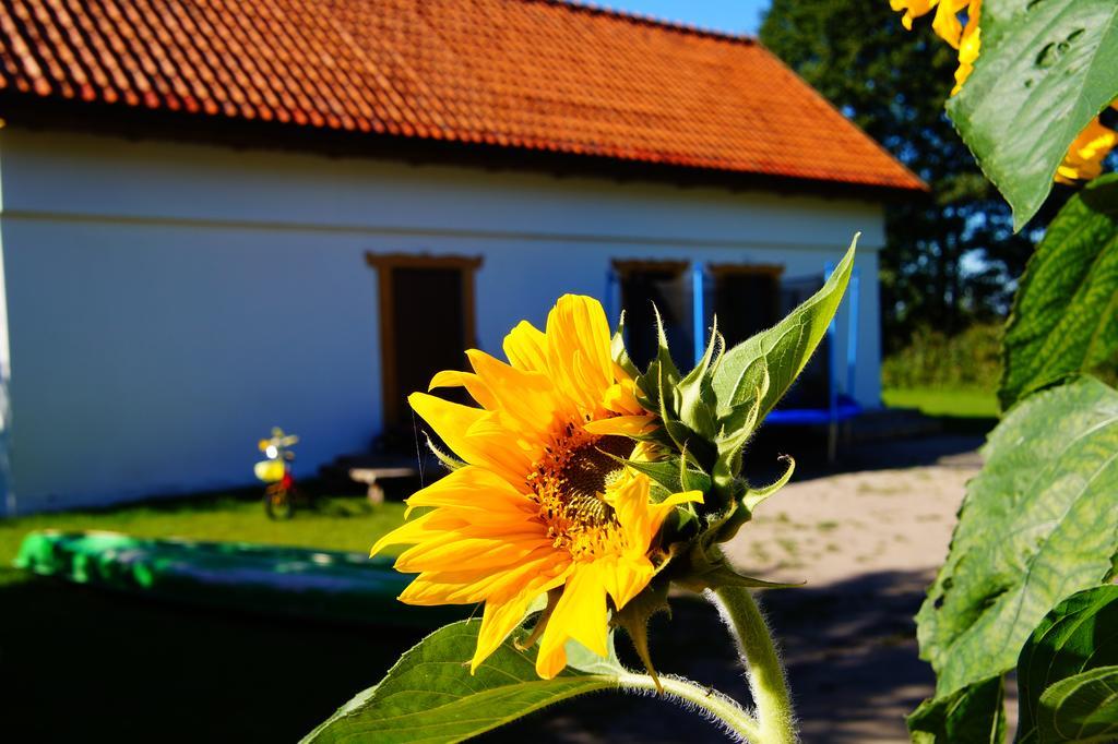 Rybaczowka Luknajno Villa Mikołajki Екстериор снимка